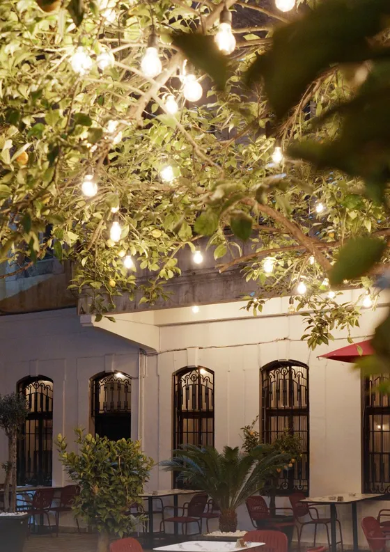 Lemon's Cafe konumu: Trabzon Meydan yakını, Cümle Sokak